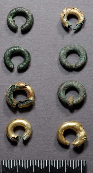 A photograph of 8 degraded penannular rings around 1.5cm to 2cm wide with 4 coated in gold